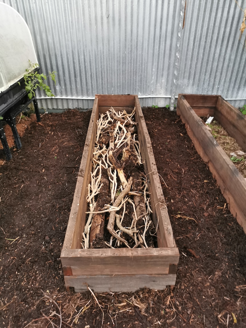 A narrow raised garden bed filled with large sticks as a base layer, which will later become a sponge for water.