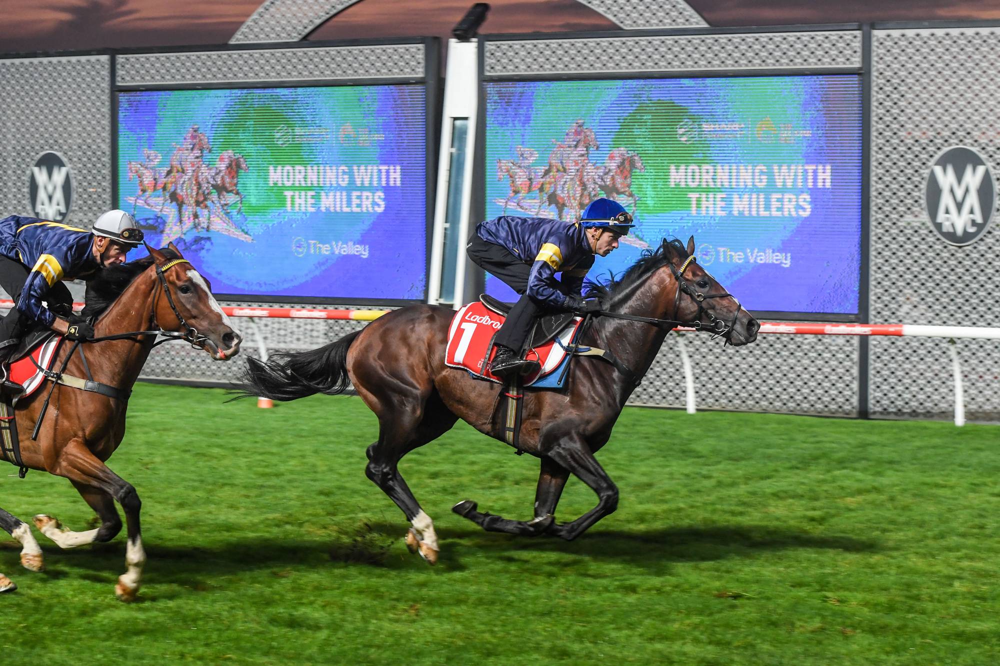 The 2023 Melbourne Cup field has been decided. Here's your guide to the