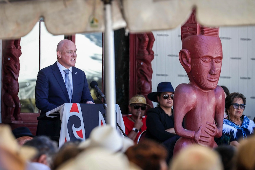 Christopher Luxon in blue suit stands at a lectern next Maori carvings that are part of the Treaty House building