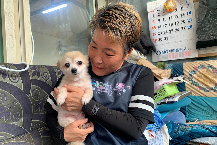 A Korean woman with short blonde hair holds a small brown Pomeranian dog to her chest.