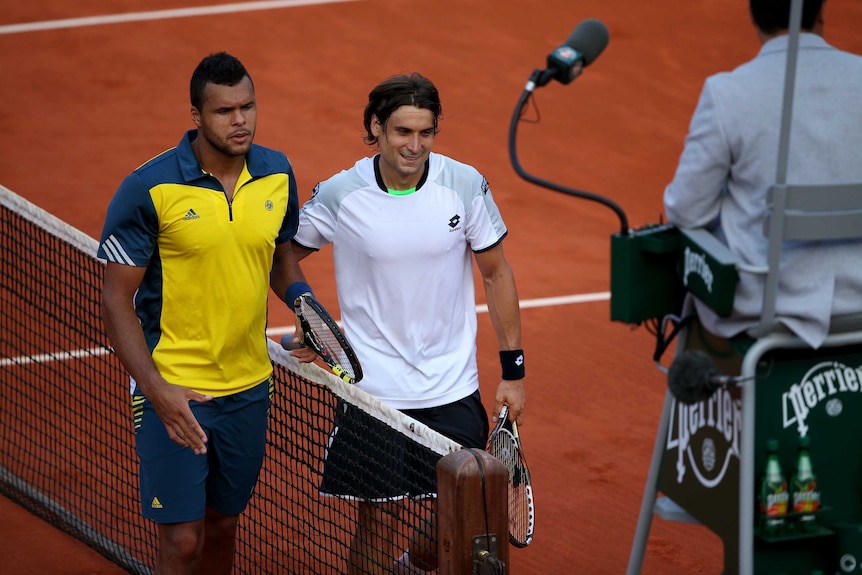 Ferrer sees off Tsonga in French Open semis