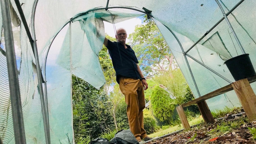 Stephen Taylor standing at the entrance of his greenhouse where he used to grow marijuana