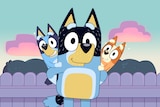 Bandit stands smiling with Bluey and Bingo sitting on his shoulders.