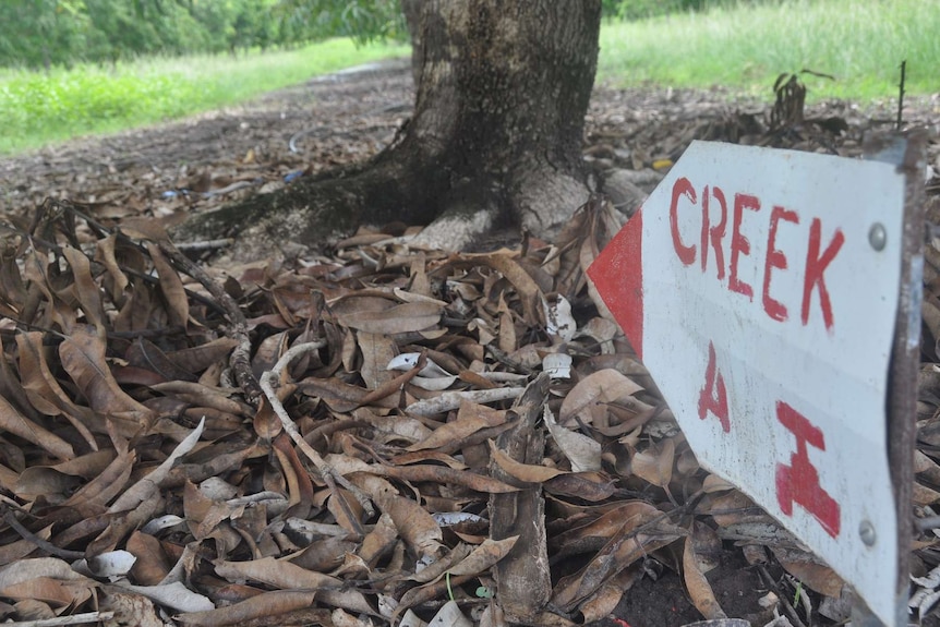 Dry leaves are seen on a creek bed.