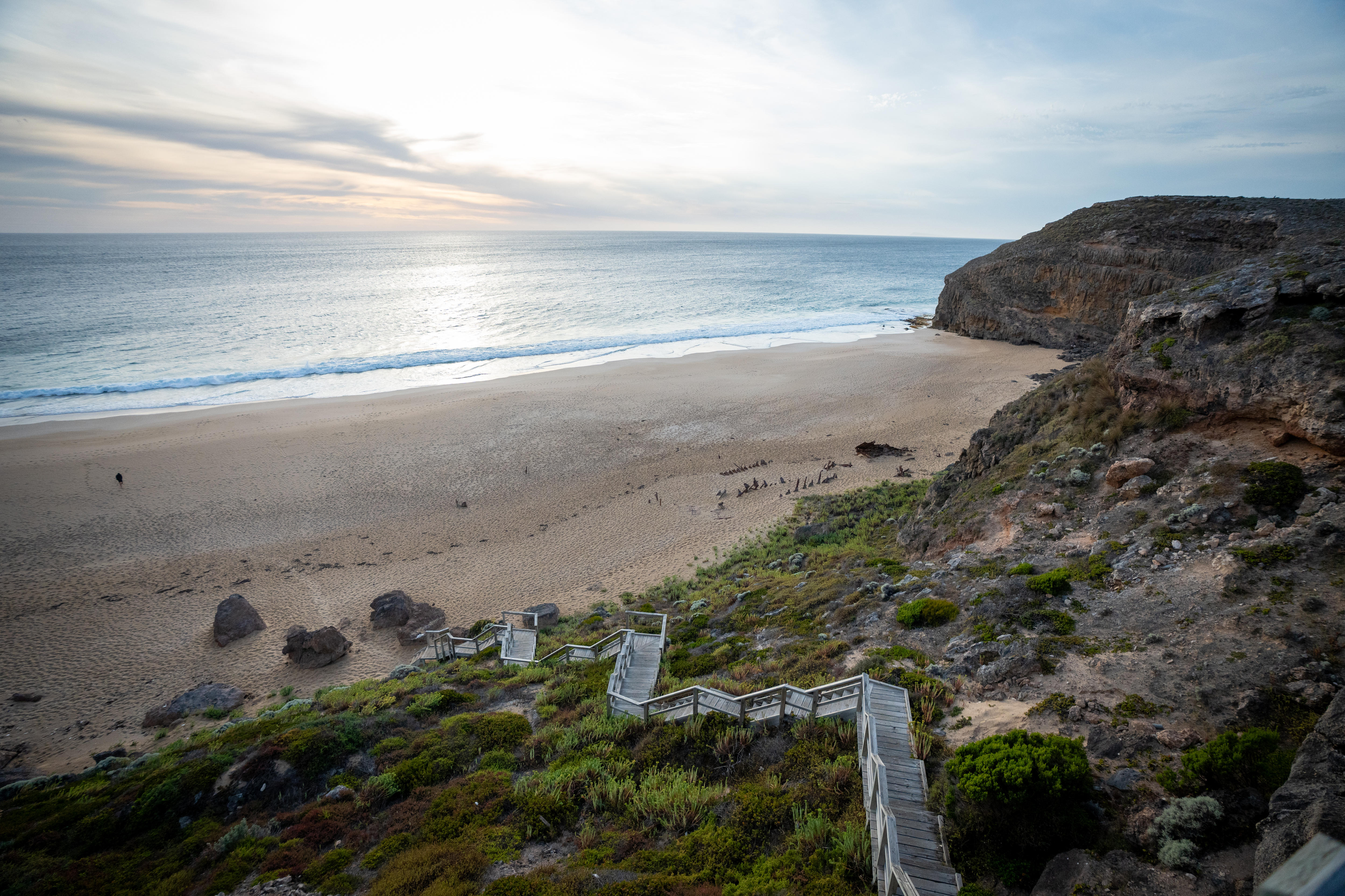 Shark Attacks In Spotlight After Three Surfers Killed In South   Acad7ef8fdf453e6fa5b66ee6ca9b955