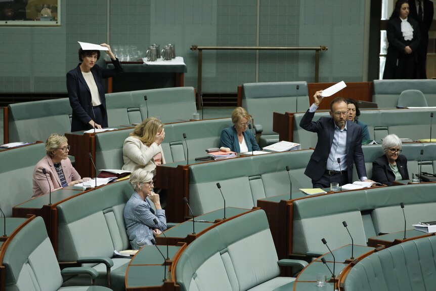 Kate Chaney and Adam Bandt stand with paper over their heads on the crossbench of the House of Representatives