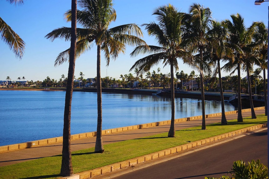 Palm trees line the picturesque waterfront at Carnarvon in morning light