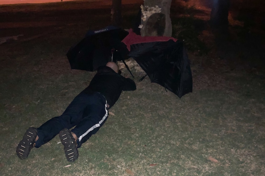 A man lies down under a tree and umbrellas trying to take a photo of mushrooms