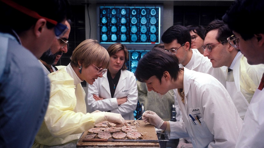 A female doctor leads a lecture in an autopsy suite. In front of her she has slices of brain and the the students watch closely