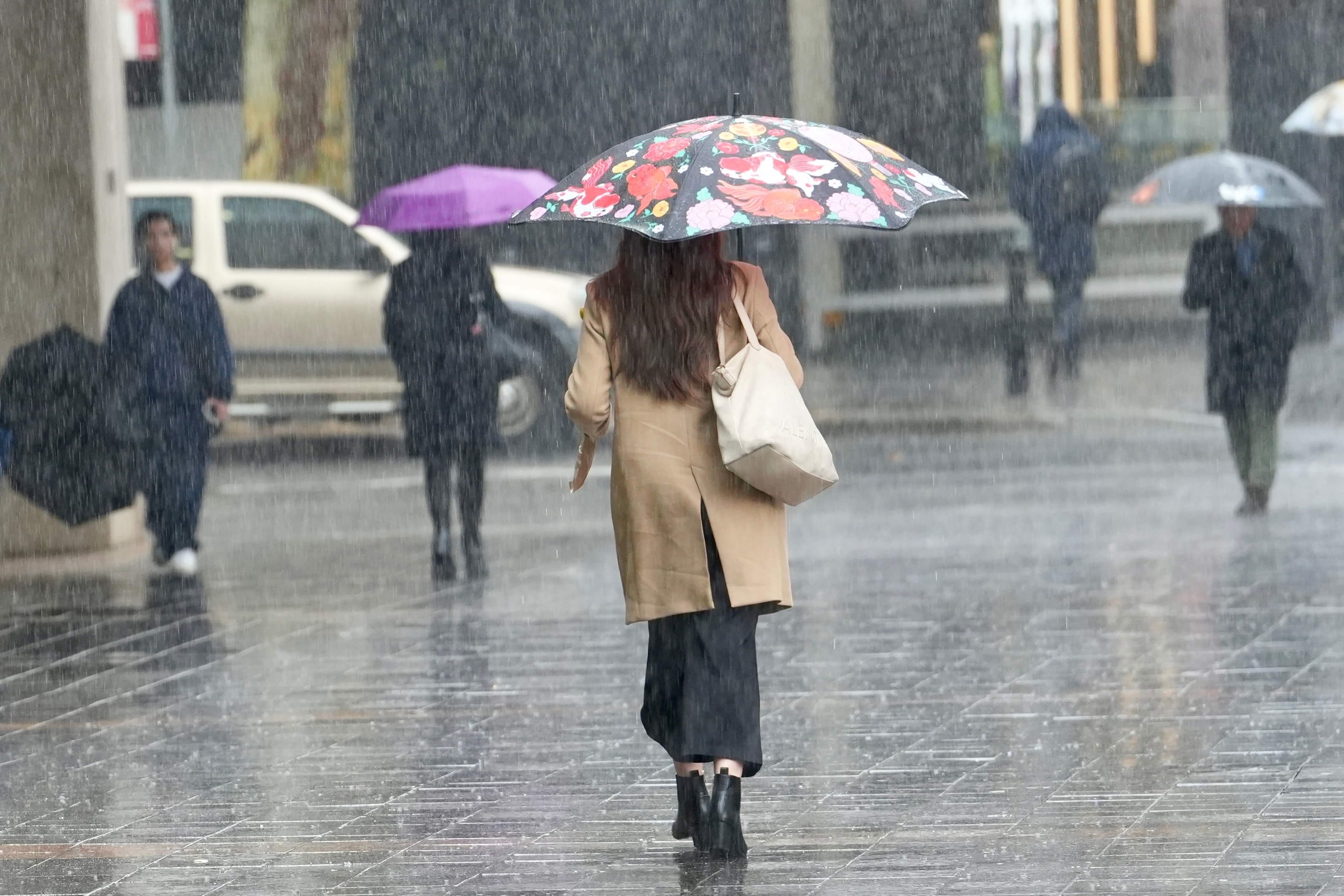 Debunking Australian weather's made-up terms and pseudo-science — WellsTrack
