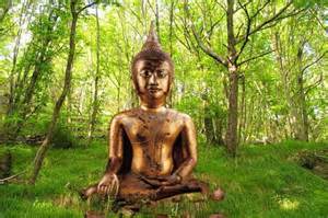 Buddhist  environmental activists divest from coal, oil and gas episode artwork