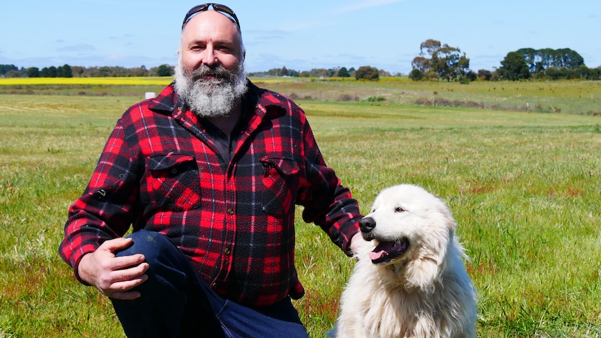 A man in a flannelette shirt with a large white dog in a paddock.