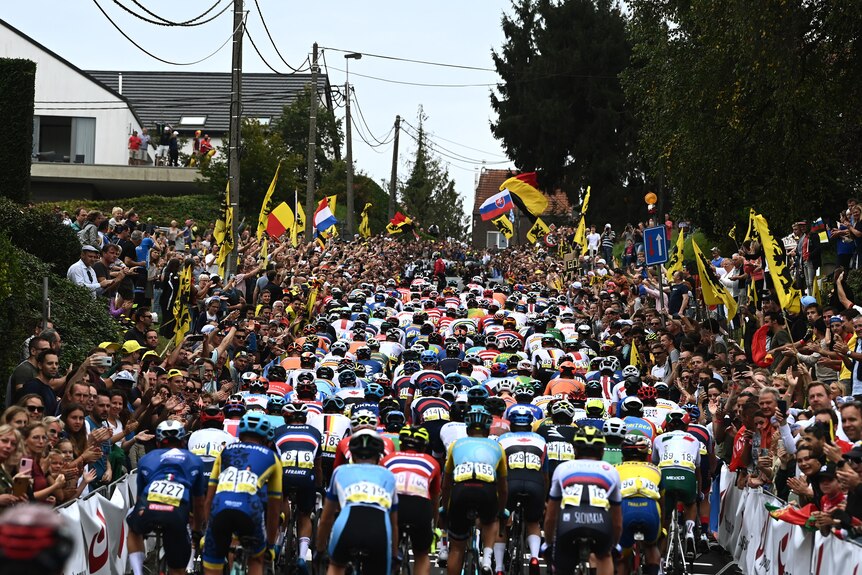 Fans line the streets as a large group of cyclists pass