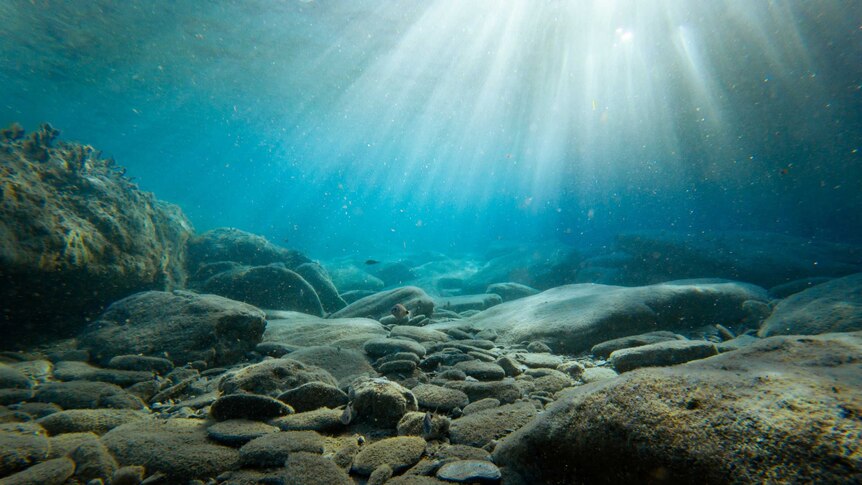 Rocks on the sea bed with light streaming through the water above