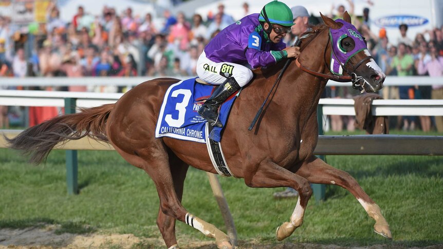 California Chrome claims Preakness Stakes