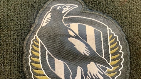Picture of a scarf that has a magpie on it 