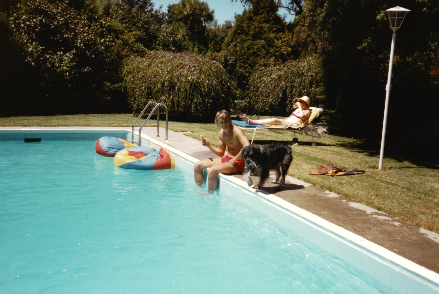 Backyard swimming pool, two people and a dog.