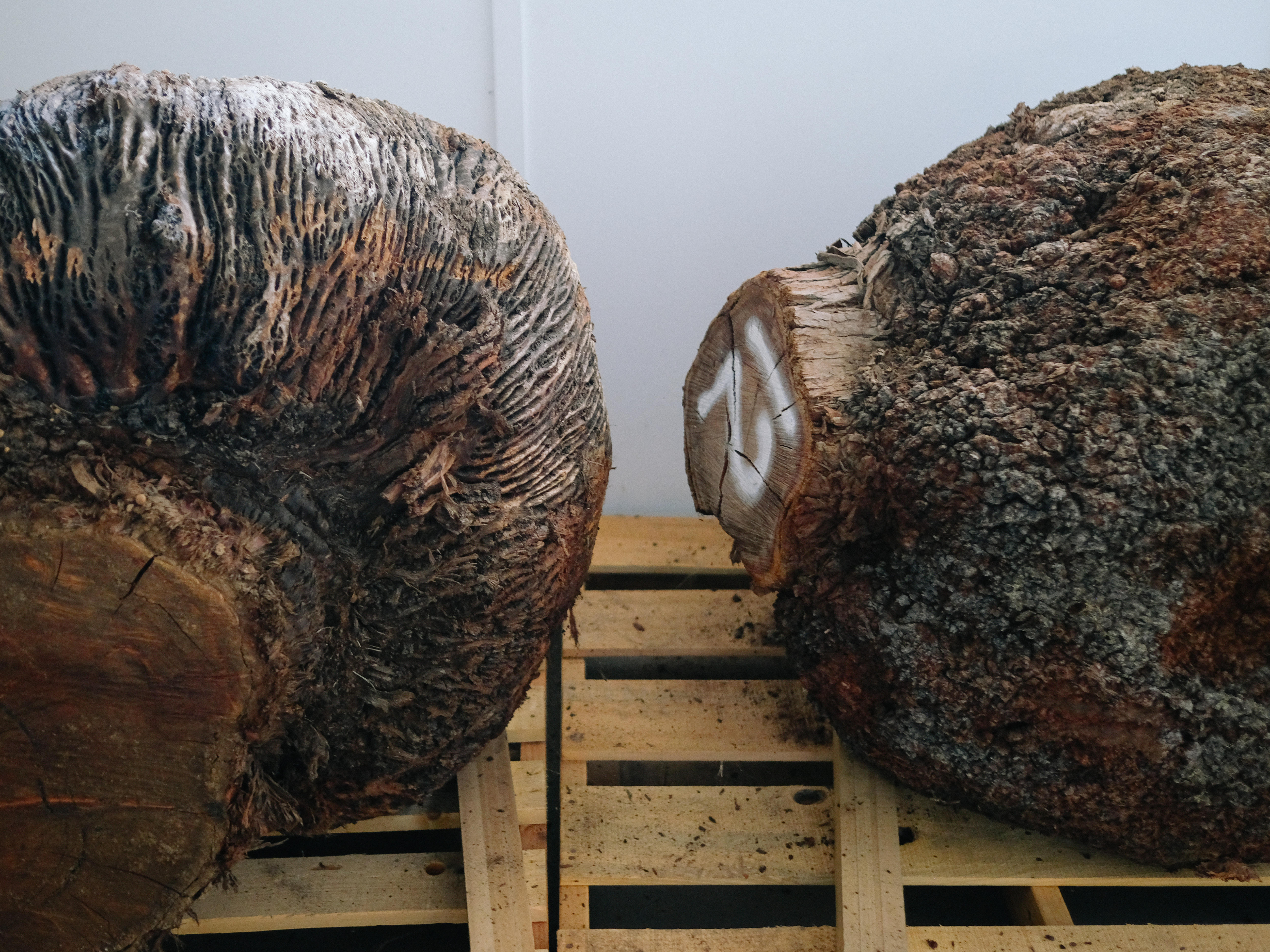 Two large spherical textured pieces of wood