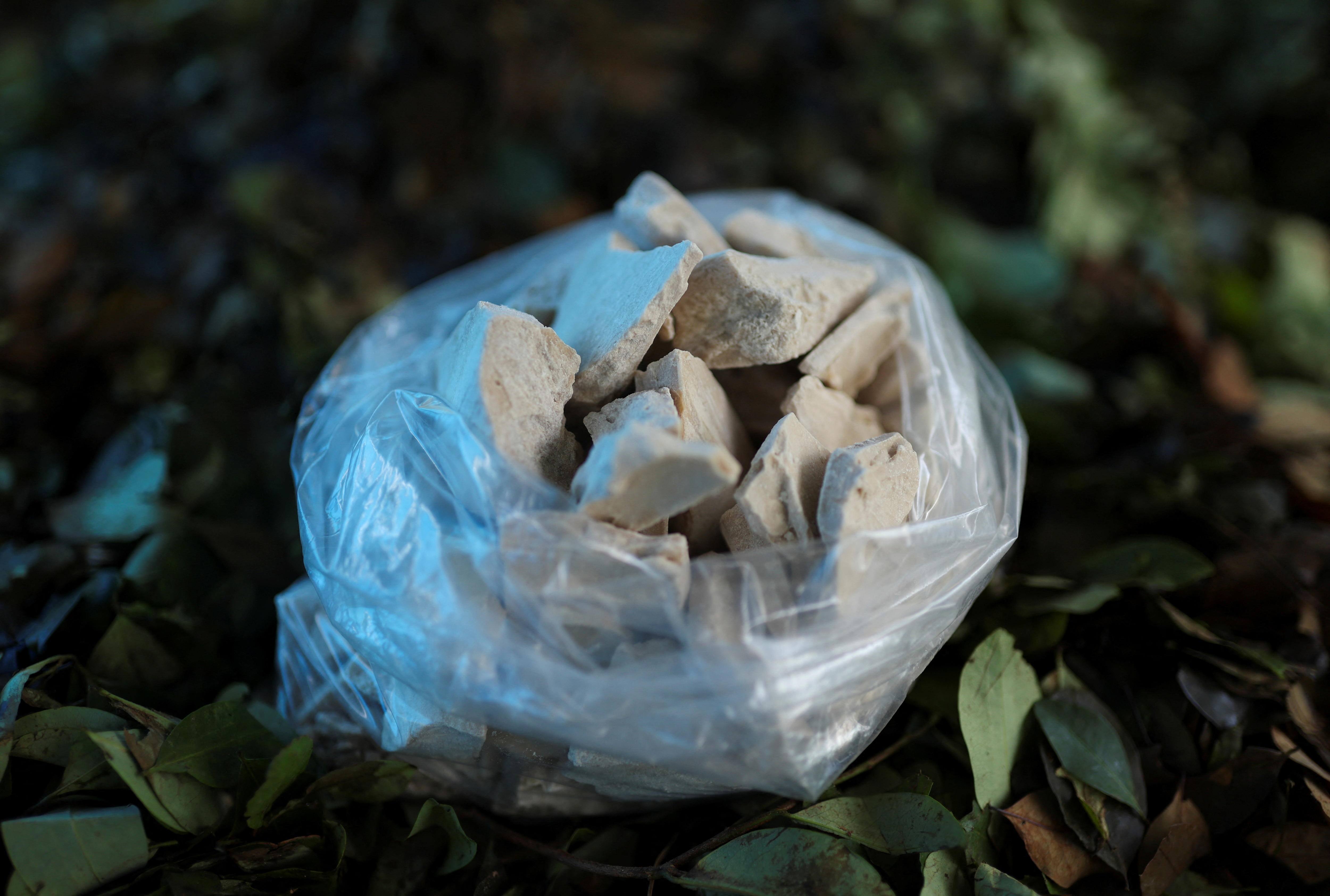 A clear plastic bag containing chunks of white-grey coca paste, on a bed of dark green leaves.