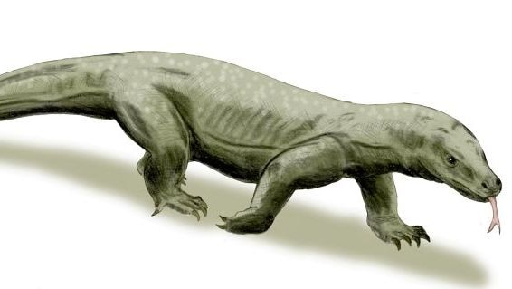 Megalania, a giant prehistoric lizard