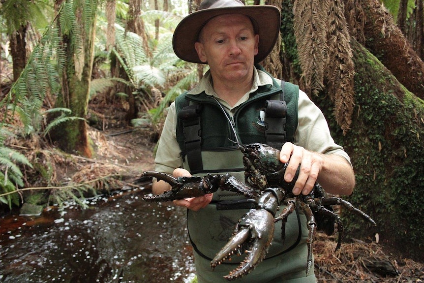 Todd Walsh with giant lobster.