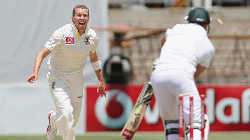 Got him! Peter Siddle brings AB de Villiers's stubborn innings to a close.