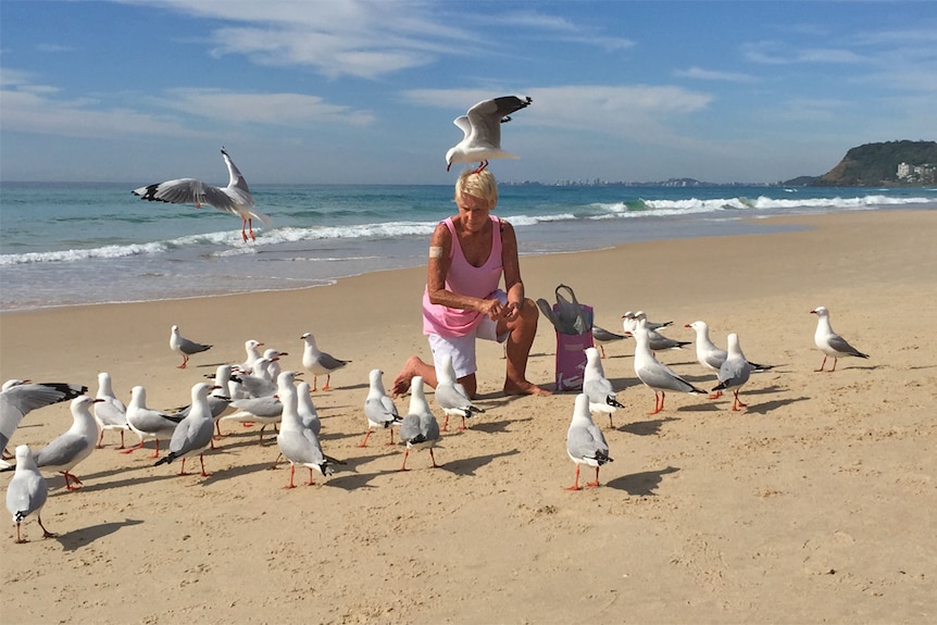 Gold Coast woman Lesley Reay is queen of the seagulls