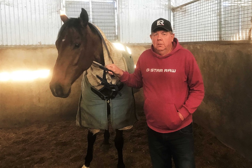 A middle aged man in a red hoodie and black hat on standing in a horse stable holding a horse.