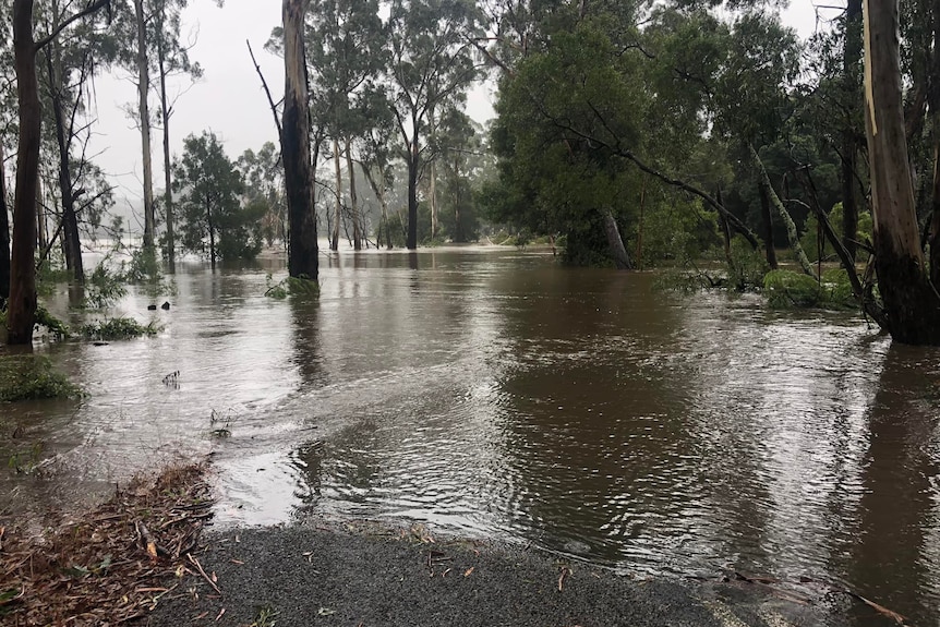 A submerged road in the countryside.