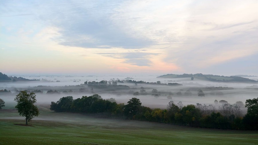 An image, taken from the top of a hill, of a mist-shrouded valley at dawn in the Cotswolds, south-west England