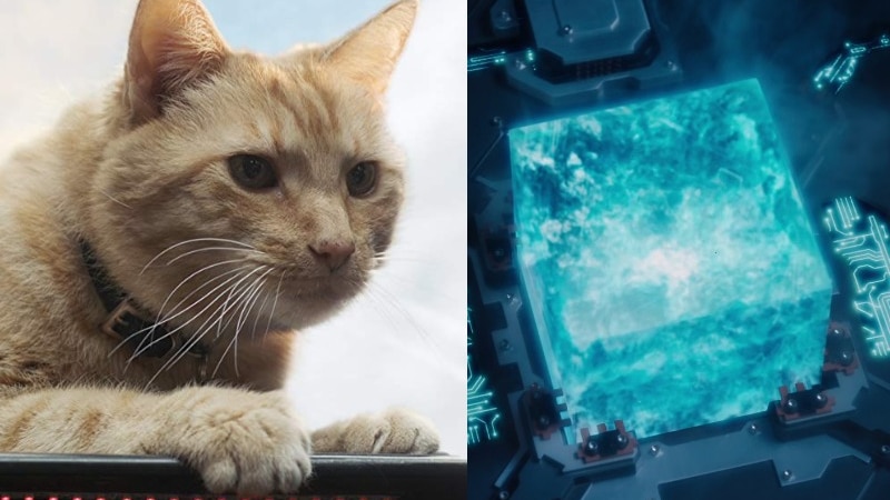 A composite image of Goose, an alien Flerken that looks like a ginger cat, and the Tesseract, a blue cube.
