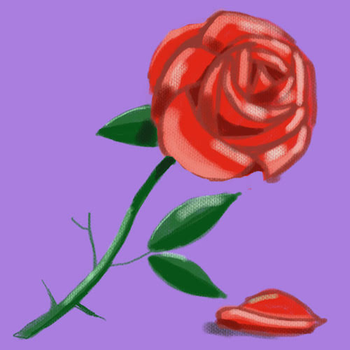 An illustration shows a rose losing its petals.