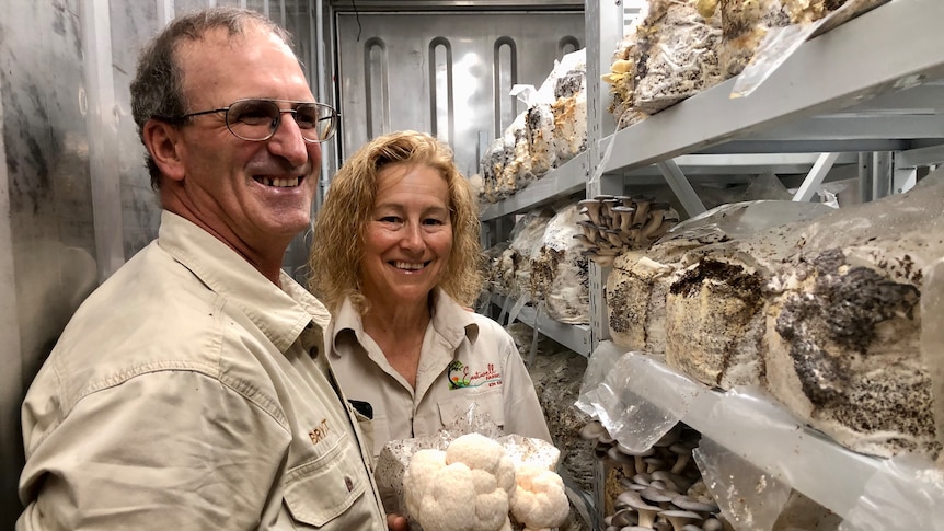 A couple surrounded by gourmet mushrooms growing in a shipping container.