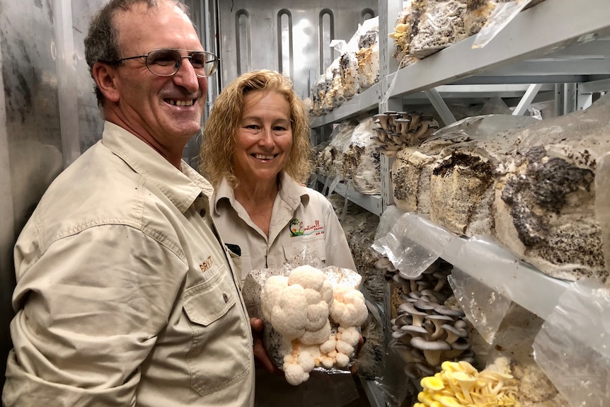 A couple surrounded by gourmet mushrooms growing in a shipping container.