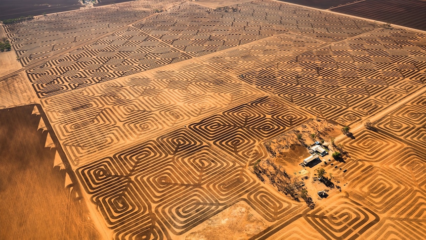 Patterns in the soil are designed to prevent wind erosion on the vulnerable topsoil.