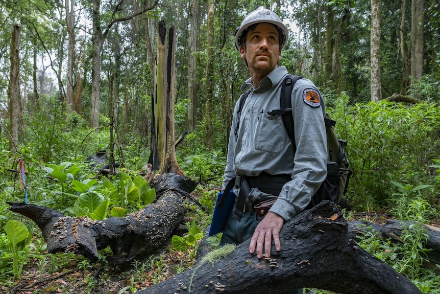 National Parks and Wildlife Service team leader for rangers Matthew Wiseman in Tooloom National Park.