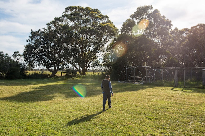 A boy walks across an expanse of grass towards a chicken coup, trees casting shadows on the ground and sunshine streaming down.