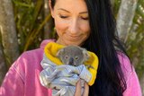 A woman holds a tiny koala joey wrapped in a blanket