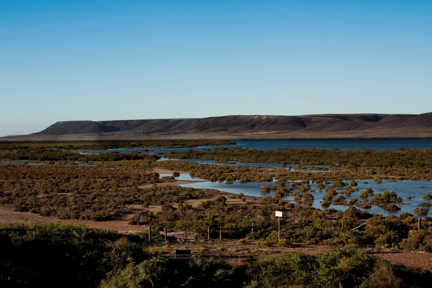 Cultana range region of Upper Spencer Gulf in SA.