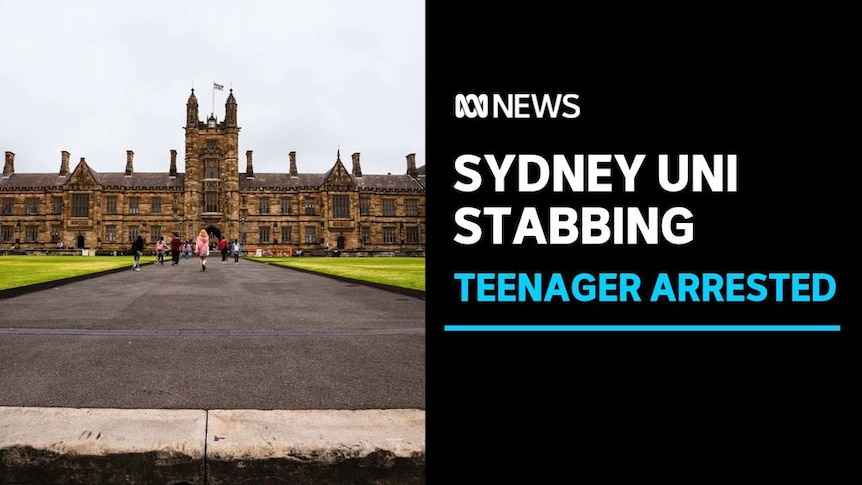 Sydney Uni Stabbing, Teenager Arrested: The Sydney University front lawns and Quadragal.