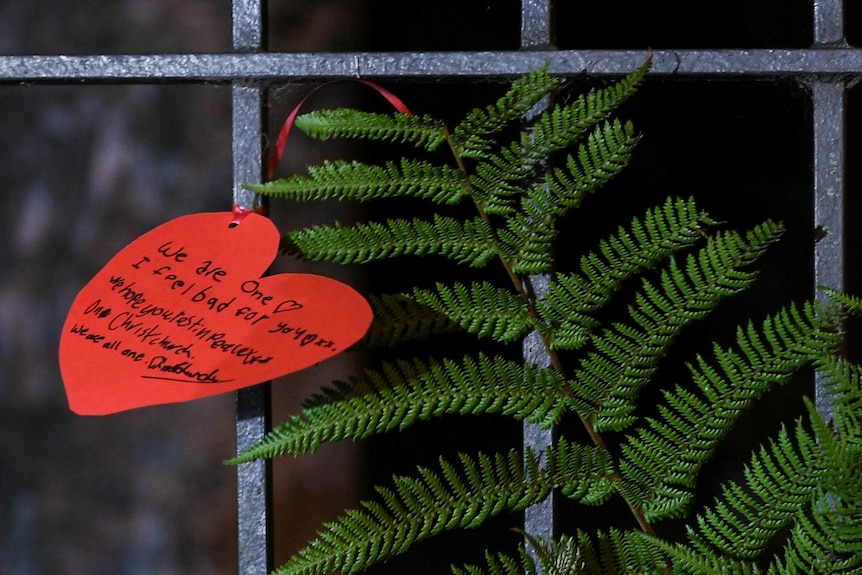 A green fern with a red paper heart beside it.