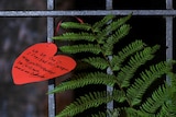 A green fern with a red paper heart beside it.
