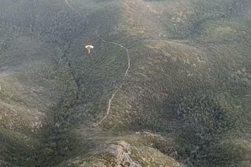 Two parachutes gliding over Stirling range national park