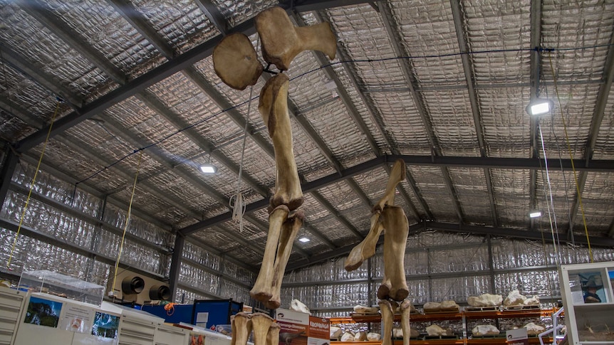Inside the Eromanga Natural History Museum in south-west Queensland.