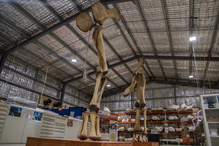 Inside the Eromanga Natural History Museum in south-west Queensland.