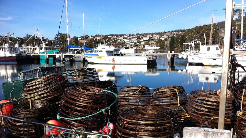 Lobster pots on board fishing boats at St Helens
