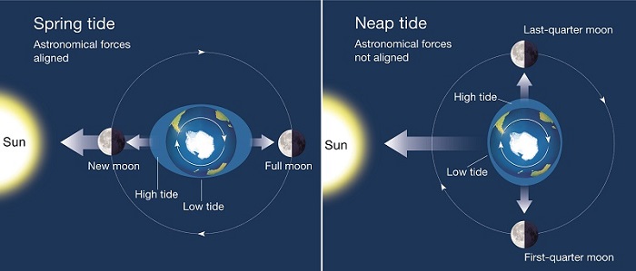 Sun and Moon in line= big spring tides. Sun and Moon at 90 degrees = shallow neap tides.