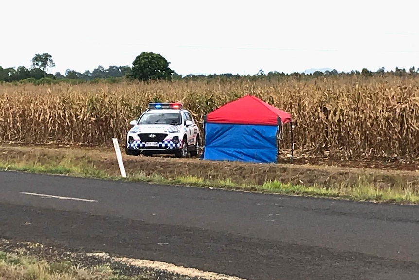 A police car and a small tent marquis in front of a canefield on the side of a road