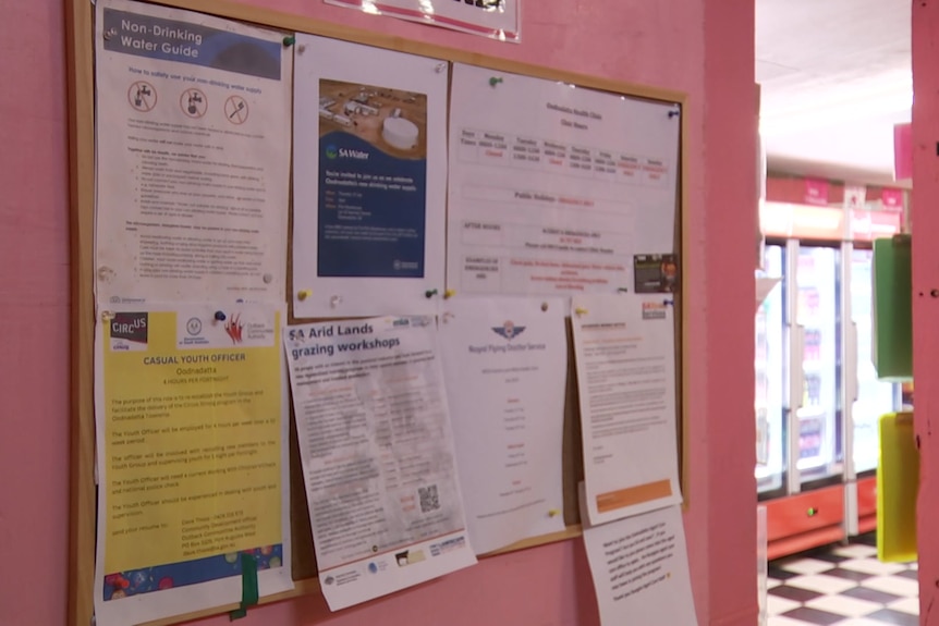 A noticeboard with lots of notices hangs on a pink wall