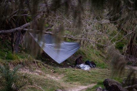 A man with his possessions under a tarpaulin in bushland